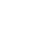 pino-logo